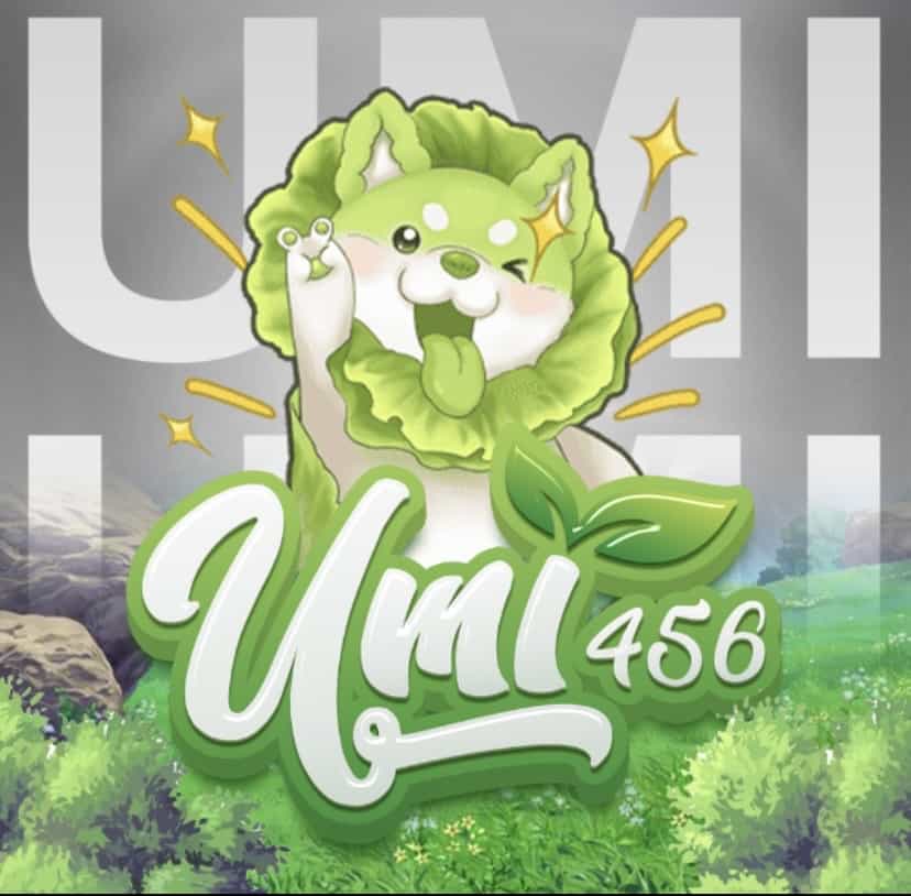 UMI456 manu55